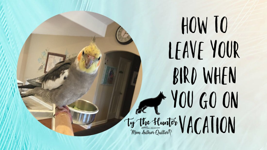 Pets you can leave alone for a week